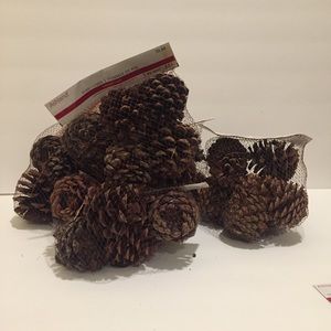 5 bags scented pine cones cinnamon scent